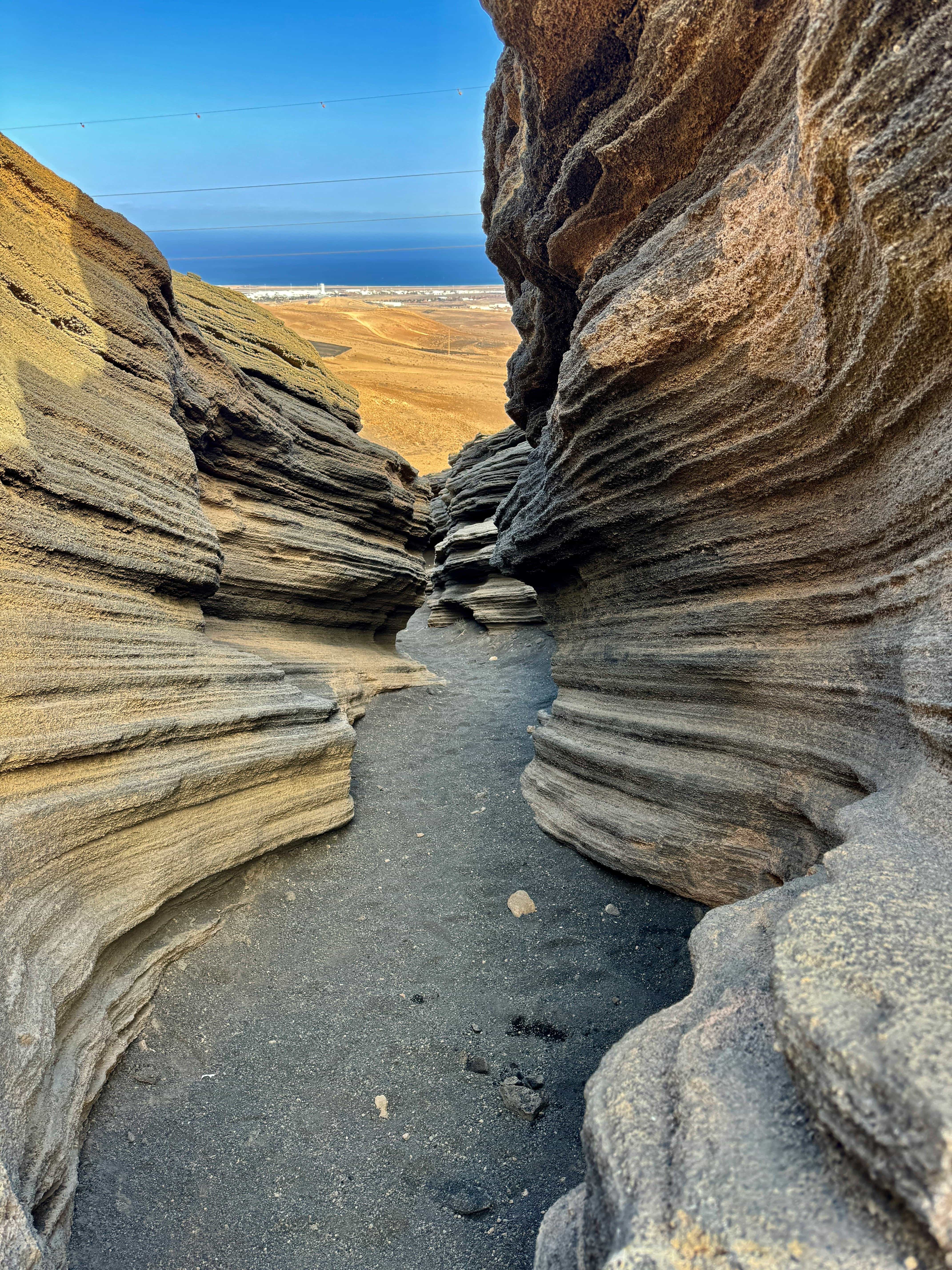 Surf Sessions & Epic Trails